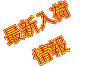 STAFF BLOG
